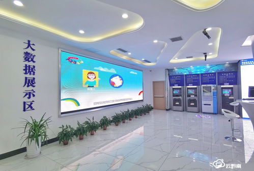 大数据赋能 都匀市税务局构建数据治税、信息管税与智慧服务新范式